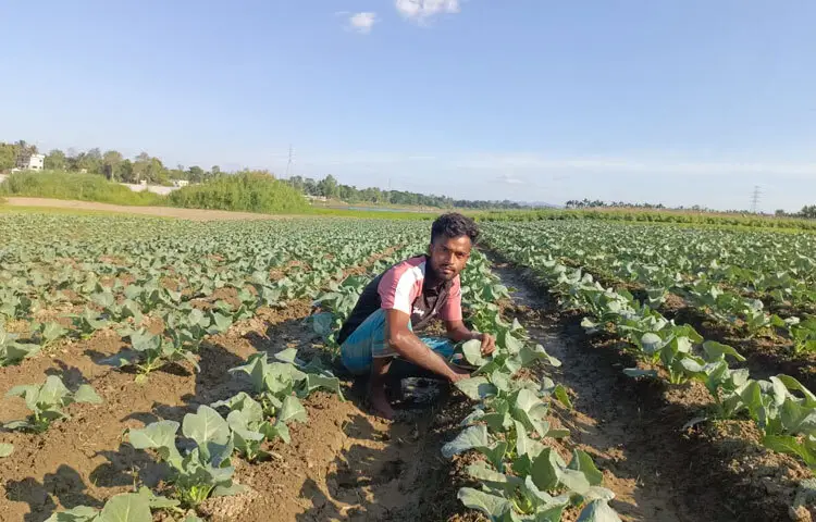 জিসানের কৃষিজীবনের শুরুটা খুব ছোটবেলায়। ২০০৯ সালে যখন তৃতীয় শ্রেণির ছাত্র, তখন থেকেই তিনি বাবার সঙ্গে কৃষিকাজে হাত লাগাতে শুরু করেন। মাঠে বাবাকে কাজ করতে দেখে তার মনে কৃষির প্রতি ‌আকর্ষণ জন্মায়। ধীরে ধীরে কৃষির বিভিন্ন দিক শিখতে থাকেন এবং অভিজ্ঞতা অর্জন করেন জিসান।