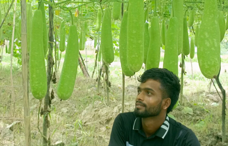 পরিবারের সাপোর্ট ও উৎসাহ তাকে সামনে এগিয়ে যাওয়ার সাহস দিয়েছে। পাশাপাশি মাঠের অভিজ্ঞ কৃষকদের পরামর্শ ও ‘কৃষকের প্রাণ কৃষি পরিবার’ ফেসবুক গ্রুপ থেকে রোগবালাইসহ বিভিন্ন বিষয়ে দিকনির্দেশনা নেন এই উদ্যোক্তা।