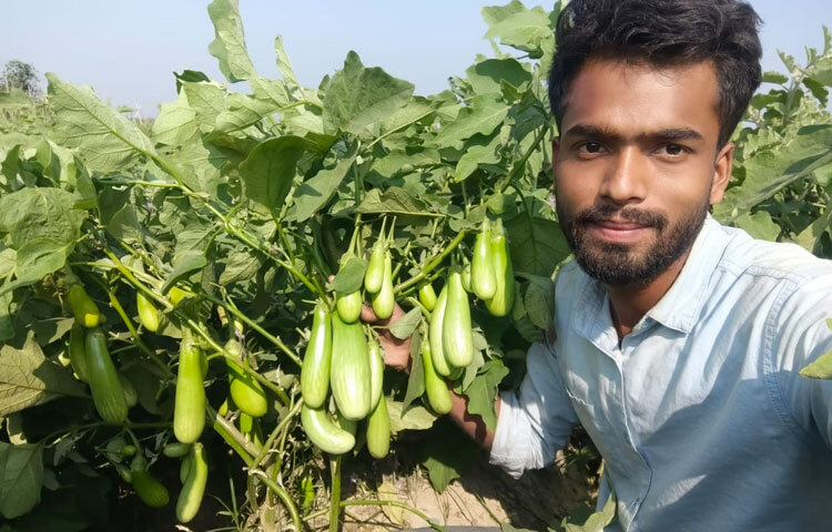 ভবিষ্যত পরিকল্পনার প্রসঙ্গে তরুণ এই উদ্যোক্তা বলেন, সবজি চাষের পাশাপাশি ভবিষ্যতে আগাম তরমুজ, সাম্মাম এবং ফুল চাষ করার পরিকল্পনা আছে। তাই এ বছর পরীক্ষামূলকভাবে কিছু চাষ করেছি।