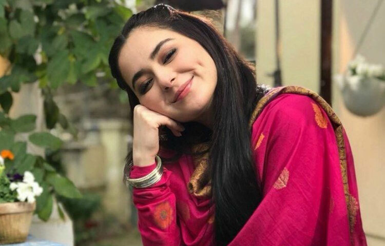 ভিসাল: এই নাটকে হানিয়া আমির ছিলেন পারি চরিত্রে, যে সরল-সাদামাটা স্বভাবের হলেও ভাগ্যের খেলায় জড়িয়ে পড়ে এক জটিল সম্পর্কে। হাসান খান ও সাবা হামিদের সঙ্গে তার অভিনয় রসায়ন নাটকটিকে করেছে প্রাণবন্ত। রোমান্স, ট্র্যাজেডি ও পারিবারিক দ্বন্দ্ব-সব মিলিয়ে নাটকটি দর্শকের কাছে দারুণ জনপ্রিয়তা পায়।