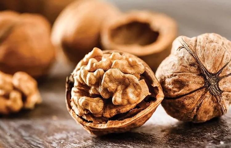 আখরোট ওমেগা-৩ ফ্যাটি অ্যাসিডের একটি চমৎকার উৎস, যা মস্তিষ্কের স্বাস্থ্যের জন্য উপকারী ও প্রদাহ কমায় সাহায্য করে। এগুলো ভিটামিন ই ও পলিফেনলসহ অ্যান্টি অক্সিডেন্ট সমৃদ্ধ। যা অক্সিডেটিভ স্ট্রেস থেকে রক্ষা করে। আখরোট কোলেস্টেরলের মাত্রা কমাতে সাহায্য করে ও হৃদরোগের ঝুঁকি কমায়। এই বাদামে মেলাটোনিন থাকে, যা ঘুমের মান উন্নত করতে পারে। ছবি: সংগৃহীত