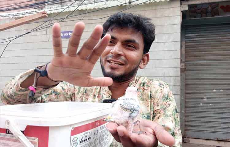 পাখিগুলো কিনতে আসেন নানা বয়সী মানুষ। কেউ কিনছেন শখে, কেউ উপহার দেওয়ার জন্য। কেউ কেউ আসেন ব্যবসার কারণে। হাটের পরিবেশে একসঙ্গে অনেক পাখি দেখার সুযোগ থাকায় ক্রেতাদের আগ্রহও বেশি থাকে। দরদাম, পছন্দ-অপছন্দ সব মিলিয়ে হাট পাখি ব্যবসার জন্য গুরুত্বপূর্ণ।