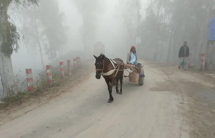 কুয়াশার সাথে উত্তরের হিমেল হাওয়ায় সন্ধ্যার পর থেকে সকাল অব্দি অনুভূত হচ্ছে ঠাণ্ডা। বেলা বাড়ার সাথে সাথে তাপমাত্রা বেড়ে যাচ্ছে। ফলে আবহাওয়ার পরিবর্তনে শীতজনিত রোগে আক্রান্ত হচ্ছে বেশি শিশু-বৃদ্ধরা।