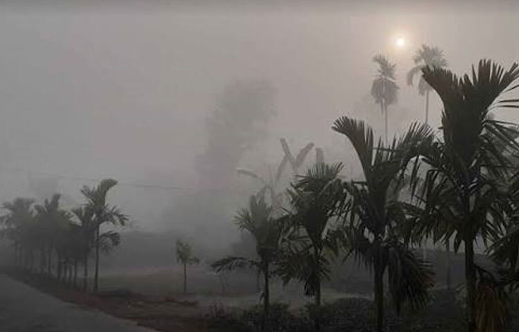 ঘন কুয়াশার কারণে সড়কে হেড লাইট জ্বালিয়ে চলছে যানবাহন।