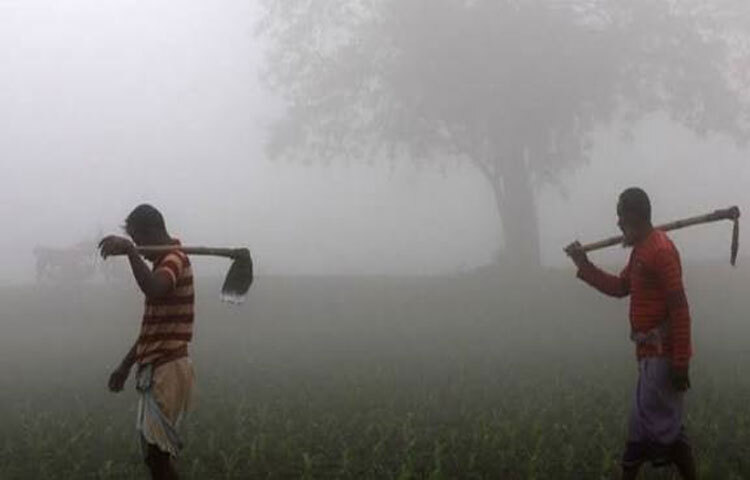 কুড়িগ্রাম পৌর শহরের সুপার মার্কেট, নছর উদ্দিন মার্কেটে ক্রেতাদের উপচে পড়া ভীড় লক্ষ করা গেছে। তিনদিন ধরে শীতের তীব্রতা বাড়ায় শীত নিবারণের জন্য মানুষ ছুটছেন বিপণী বিতানগুলোতে। উচ্চ বিত্ত মানুষ জন শপিং মলে ছুটলেও নিম্ন বিত্তবান মানুষের ভরসা পুরোনো কাপড় বিক্রির দোকানগুলো।সাধ্যমত তারা কিনছেন গরম কাপড়।