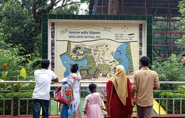 চিড়িয়াখানা কর্তৃপক্ষ বলছে, এবারের ঈদে দীর্ঘ ছুটির সুযোগে অনেকেই রাজধানীর বাইরে যাবেন। তার সঙ্গে যোগ হয়েছে বৈরি আবহাওয়া এক মুহূর্তে বৃষ্টি, আবার খানিক পরেই গরম। এর ফলে চিড়িয়াখানায় দর্শনার্থীর সংখ্যা প্রত্যাশিত মাত্রায় নাও পৌঁছাতে পারে বলে ধারণা তাদের।