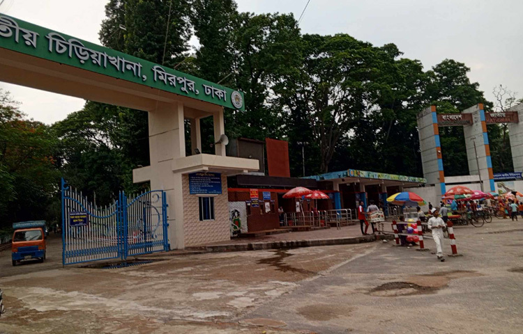 তবুও কোনো ঘাটতি রাখতে রাজি নন কর্মকর্তারা। দর্শনার্থীদের সুরক্ষা ও স্বাচ্ছন্দ্যের বিষয়টি মাথায় রেখে সব ধরনের প্রস্তুতি নেওয়া হয়েছে বলে জানিয়েছেন জাতীয় চিড়িয়াখানার পরিচালক মোহাম্মদ রফিকুল ইসলাম তালুকদার।