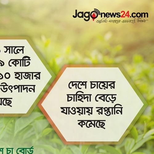 চায়ের উৎপাদন বাড়লেও কমছে রপ্তানি