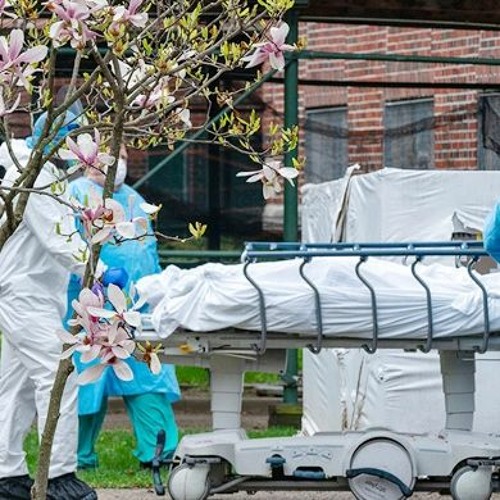 বিশ্বজুড়ে আরও সাড়ে ৫ হাজার প্রাণহানি