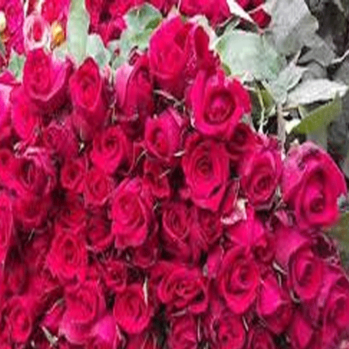 ভালোবাসার দিনে আনন্দ ছড়িয়ে দিতে ফুল বেচছেন ঢাবির দুই ছাত্রী