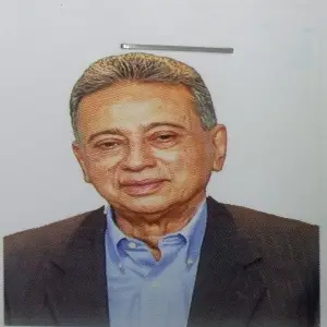 আমির খসরু মাহমুদ চৌধুরী