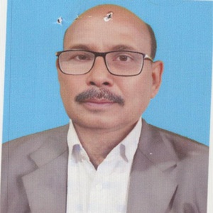 মোঃ আনছার আলী