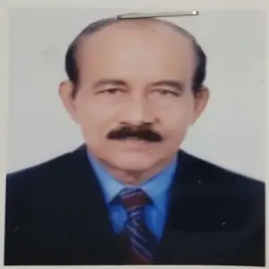 শাহ মফিজ