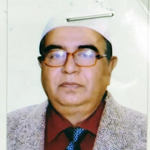 সৈয়দ মেহেদী আহ্‌মেদ রুমী