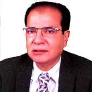 আসাদুল  হাবিব দুলু