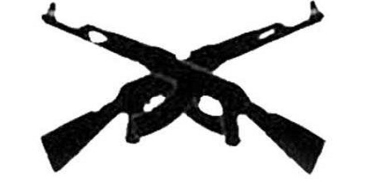 সুন্দরবনে বন্দুকযুদ্ধে নিহত ১