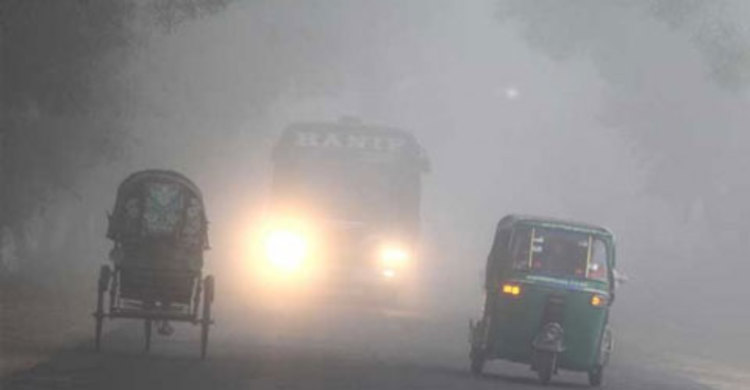 ঘন কুয়াশায় জেঁকে বসেছে শীত