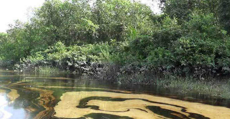 সুন্দরবন যাচ্ছে জাহান প্রত্যয় ও নির্ভিক