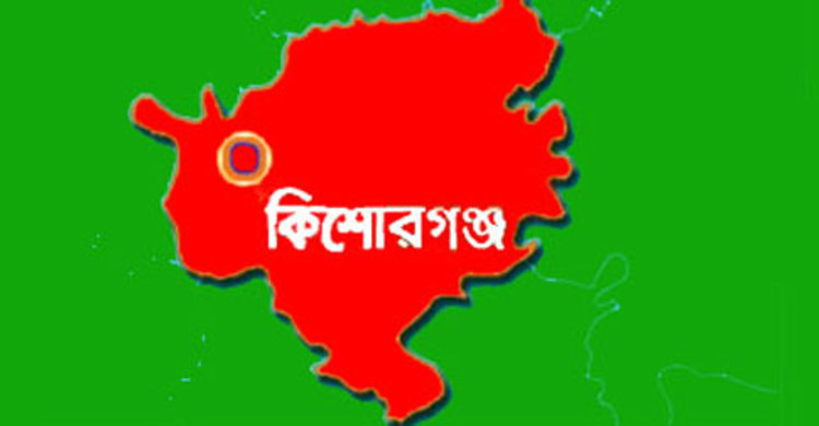 কিশোরগঞ্জে সড়ক দুর্ঘটনায় নিহত ৩