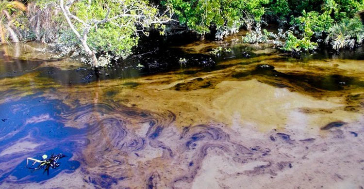 ট্যাঙ্কারডুবিতে অশুভ পরিকল্পনা থাকতে পারে : হাফিজ উদ্দিন