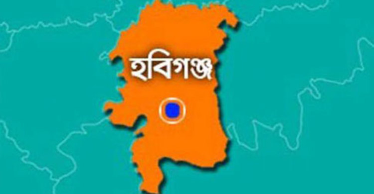 হবিগঞ্জে সড়ক দুর্ঘটনায় নিহত ৬