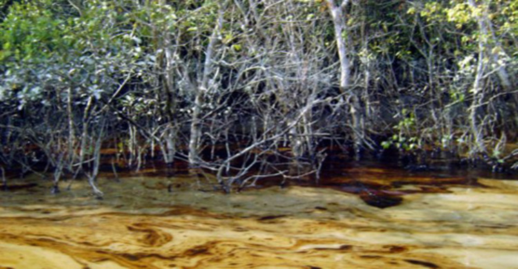 শেলা নদীতে ৫ কিলোমিটার জুড়ে তেলের স্তর