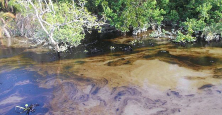 তেল অপসারণ করছে স্থানীয়রা