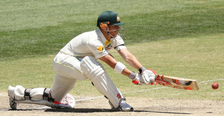 ২০১৪ সালে ওয়ার্নারের হাজার রান