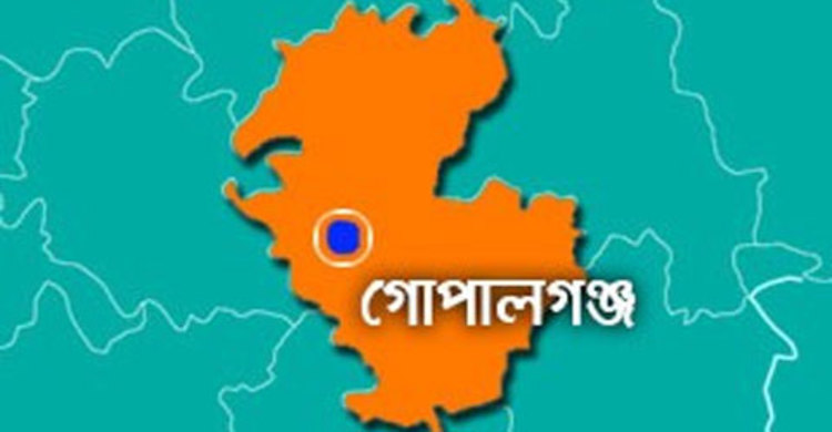 গোপালগঞ্জে গণপিটুনিতে ডাকাত নিহত, আহত ৭