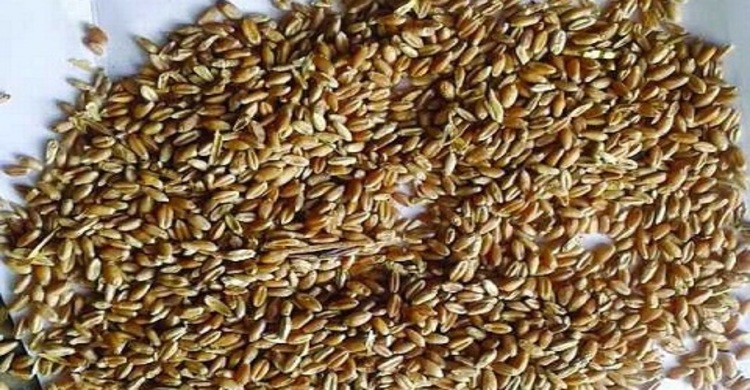 SC orders to stop distributing Brazilian wheat