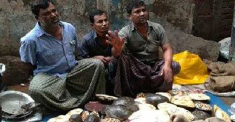 Three jailed for trafficking 57 tortoises in city 