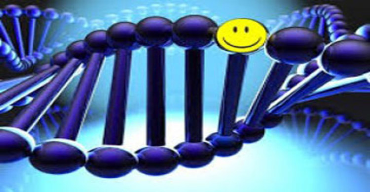 True happiness lies in your DNA