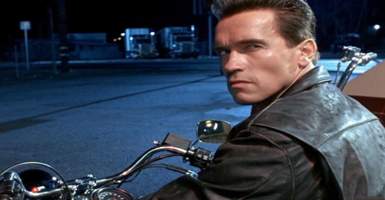 Schwarzenegger in Bollywood movie!