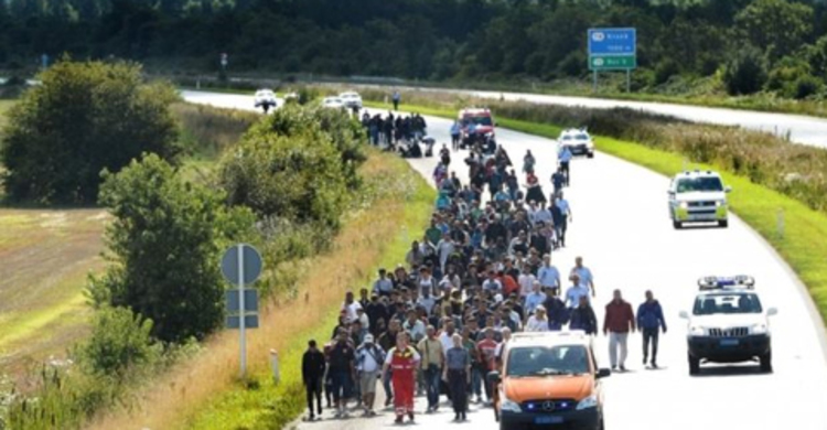 Hungarian army in migrant action drills