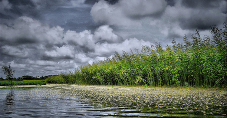 Rain likely over country