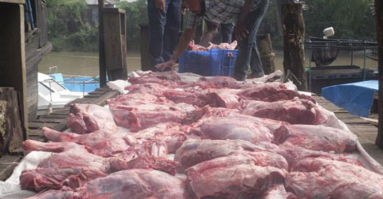 2 deer rescued, 200 kg venison seized