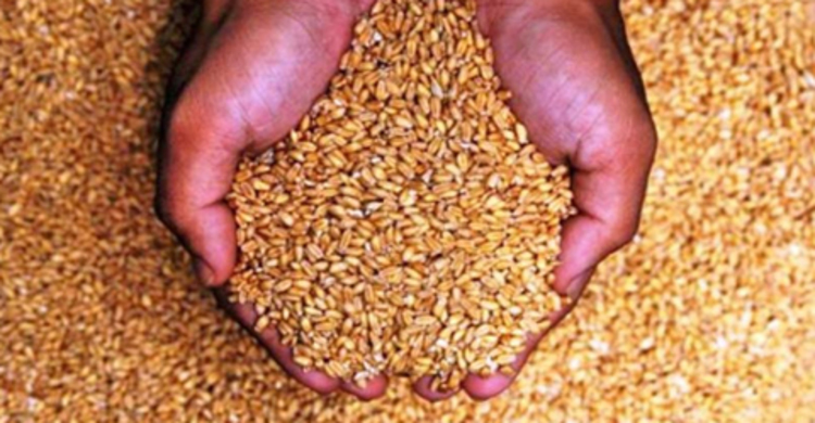 SC upholds HC order on Brazil wheat