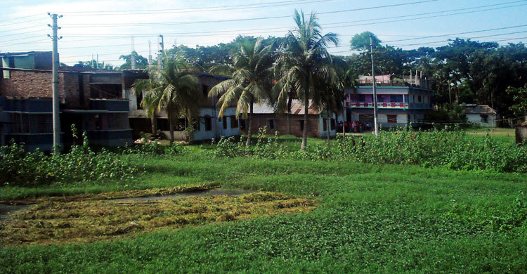 পাঁচ বছরে কমেছে সাড়ে ১০ হাজার হেক্টর আবাদি জমি