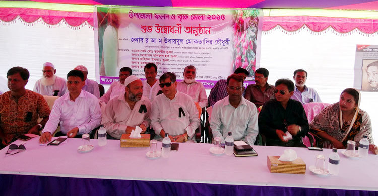 বিজয়নগরে ৩ দিনব্যাপী বৃক্ষমেলা শুরু