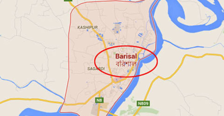 বাকেরগঞ্জে ভাগ্নের হামলায় মামার মৃত্যু