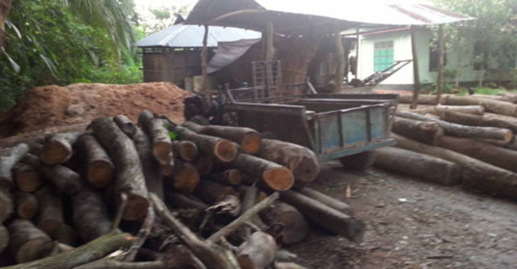 বন কর্মকর্তার কাণ্ড  