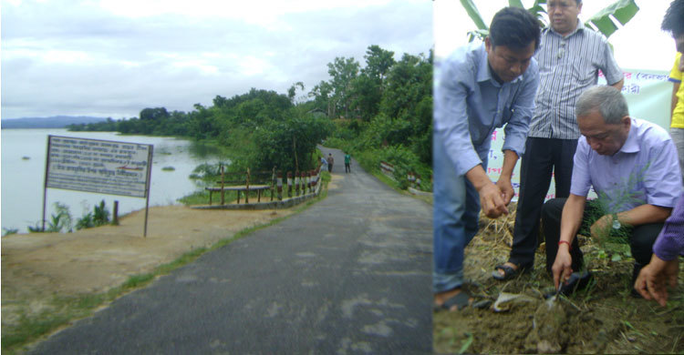 ভাঙন রক্ষায় কাপ্তাই পাড়ে বৃক্ষরোপণ 