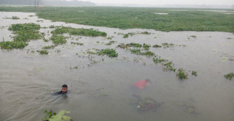 বিলের পানিতে ফেলে স্ত্রী হত্যা : স্বামীসহ আটক ৫