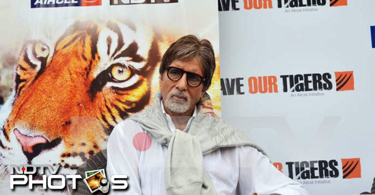 বাঘের দূত হলেন অমিতাভ বচ্চন 