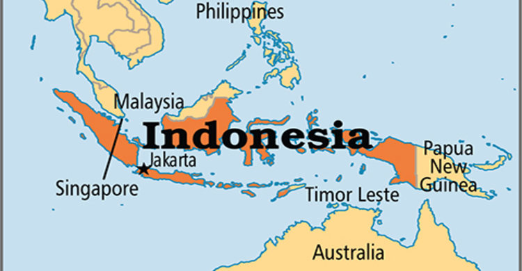 সংঘর্ষে ইন্দোনেশিয়ার ২ বিমান ভূপাতিত