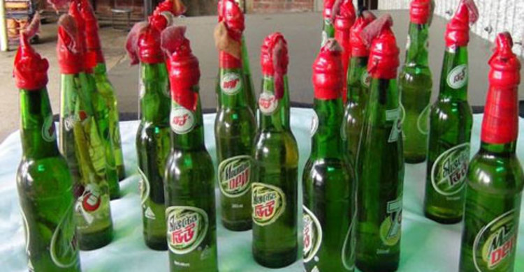 নওগাঁর আত্রাইয়ে ১২টি পেট্রলবোমাসহ আটক ৩