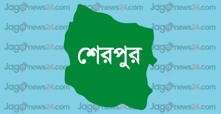 শেরপুর সীমান্তে দূর্বৃত্তদের হামলায় নিহত ১, আহত ৩