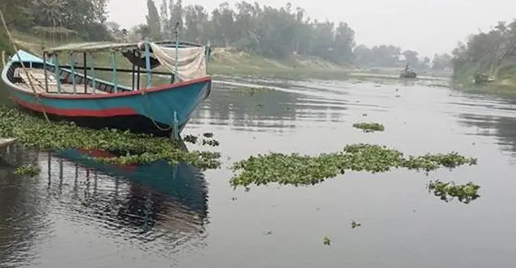 দূষিত বর্জ্যে হুমকির সম্মুখীন তুরাগ তীরের জীব-বৈচিত্র্য