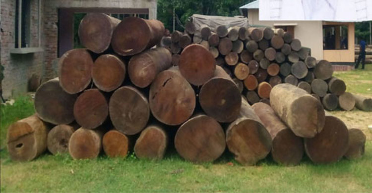 অবরোধে ব্যবহারের অভিযোগে ৩ ট্রাক কাঠ জব্দ