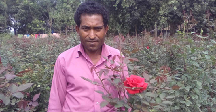 ফুল যতই ফুটছে, কান্না ততই বাড়ছে